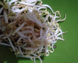 Langkah 4